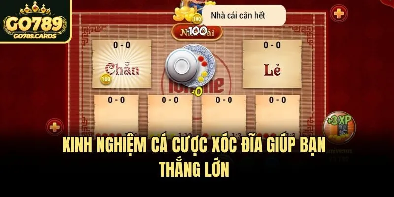 Kinh nghiệm cá cược xóc đĩa giúp bạn thắng lớn